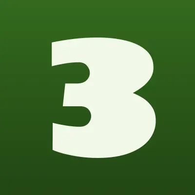 33 букета, бутик цветов, лого-визитка
